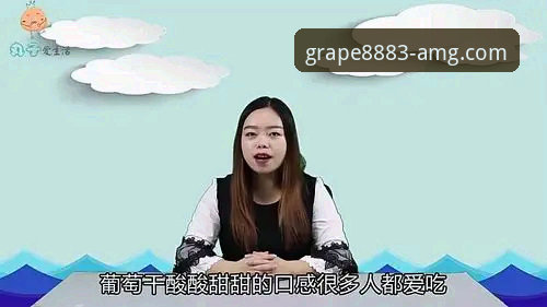 新葡萄官网APP vs 网页版：哪个更适合新用户？全面对比分析