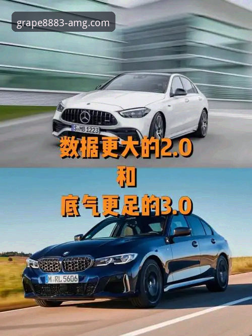 揭秘新葡萄8883官网AMG的2026新版：好玩吗？从数据到体验的深度解析